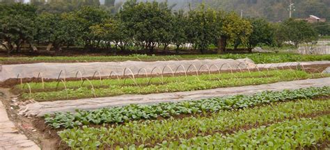 Organic Farming Practices - Agricology