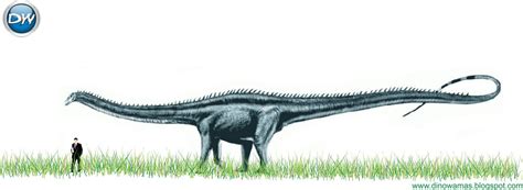 Diplodocus Dinosaurios