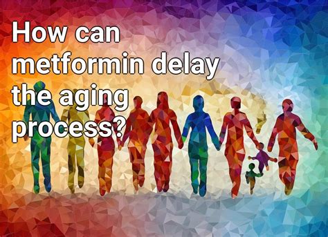 How Can Metformin Delay The Aging Process Lifeextension Gov Capital