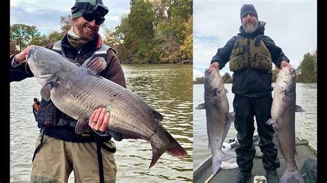 Pounds Of Blue Catfish In Minutes And Tips To Find Winter Bait