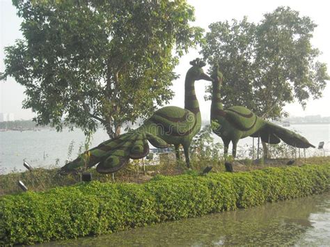 Nice Picture Kolkata ECO Park, West Bengal Editorial Stock Image ...