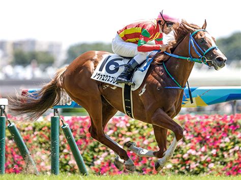 【メイクデビュー東京5rレース後コメント】ノヴァエクスプレス菅原明良騎手ら 競馬ニュース Netkeiba