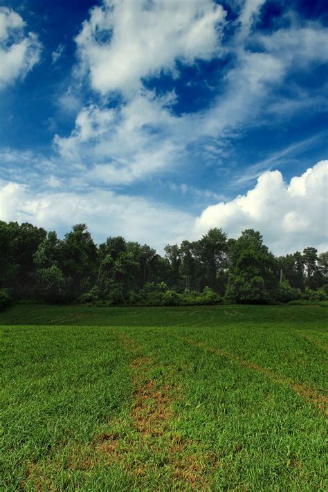 Fotos Gratis Paisaje árbol Naturaleza Césped Horizonte Nube