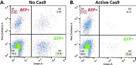 Crisprtest Data Gfprfp Crisprtest™ Essential Gene Cas9 Activity