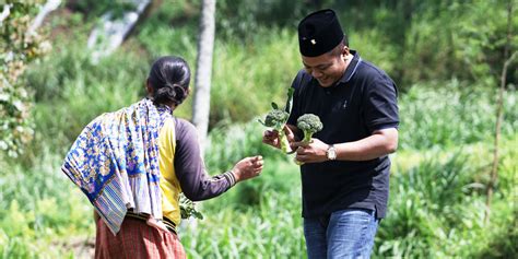 Kelangkaan Pupuk Berlarut Larut Perlu Solusi Kreatif