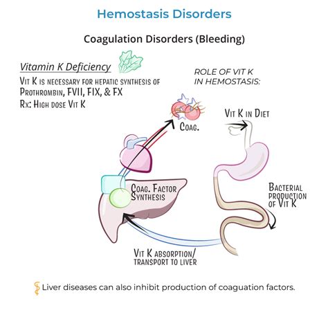 Clinical Pathology Glossary Coagulation Disorders Hemophilia