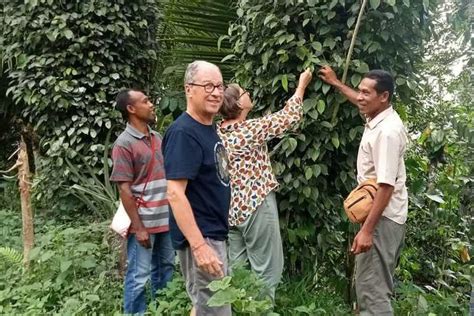 Foto Potensi Wisata Jalur Pantai Selatan Flores Tak Kalah Dari