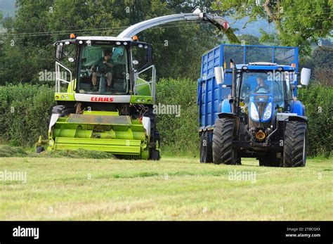 Forage Harvester Collecting Silage On A Dorset Hillside Stock Photo Alamy