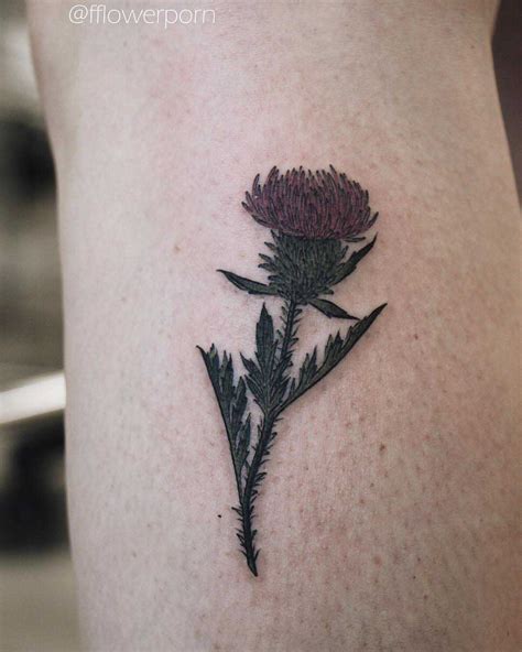 Scottish Thistle Tattoo - Best Tattoo Ideas Gallery