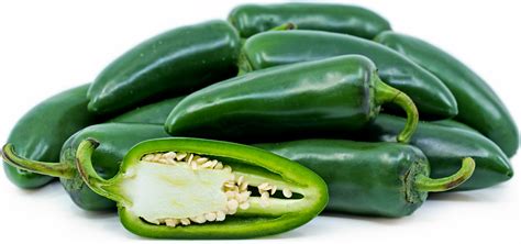 Green Jalapeño Chile Peppers Information Recipes And Facts