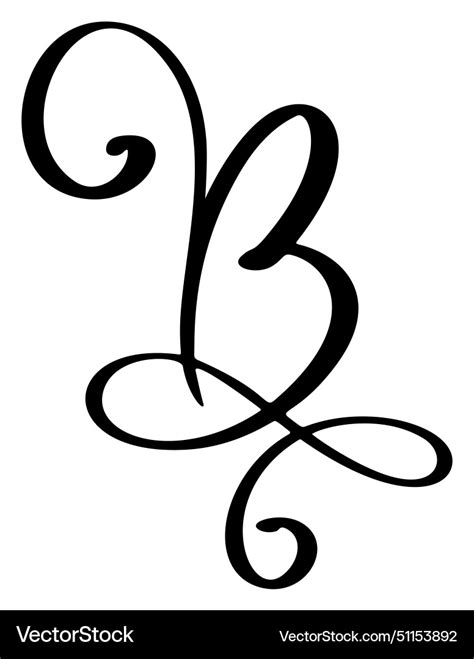 Calligraphy Hand Drawn Letter B Script Royalty Free Vector