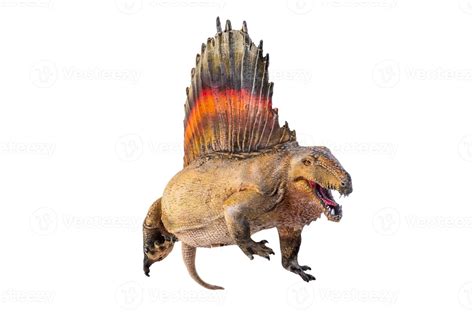 Dinosaur Dimetrodon Isolated Background 21866234 Stock Photo At Vecteezy