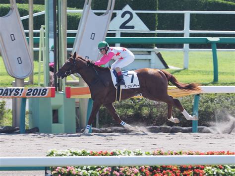 【中山1r2歳未勝利】ゴールドアリュール産駒 ダイシンインディーが圧巻の逃げ切り 競馬ニュースなら競馬のおはなし