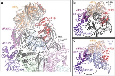 Structural Basis For The Inhibition Of Translation Through Eif2α