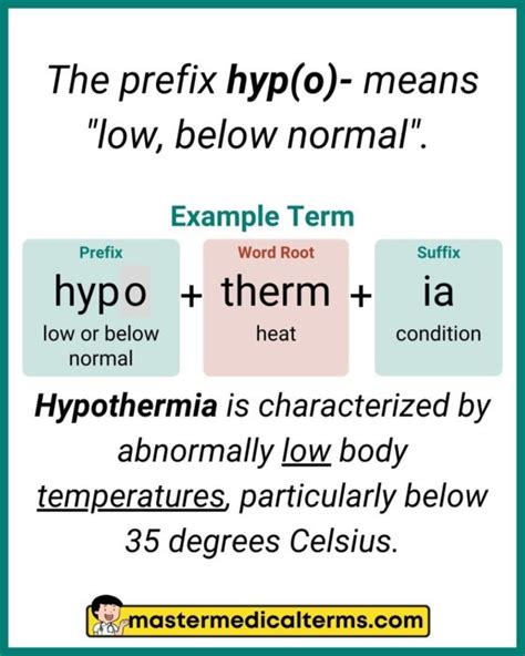 Hypo Hyp Master Medical Terms