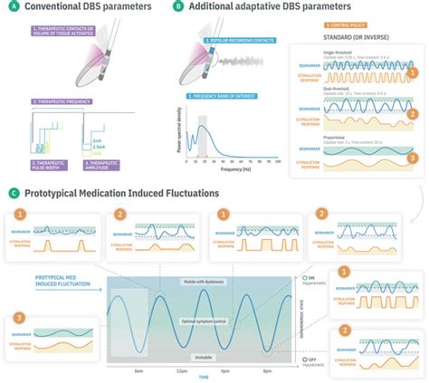 Adaptive Deep Brain Stimulation From Experimental Evidence Toward