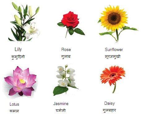 Flower Names in Hindi and English | हिन्दीकुंज,Hindi Website/Literary ...