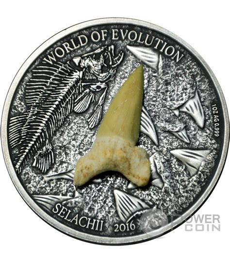 SELACHII World Of Evolution Sharks 1 Oz Silver Coin 1000 Francs Burkina