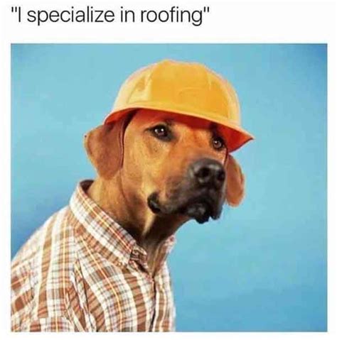 19 Funny Construction Memes That Will Make You Lol!