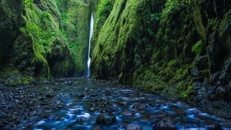 Oneonta Gorge Waterfall Oregon Wallpapers | HD Wallpapers | ID #18711