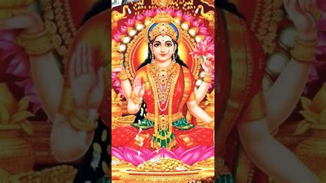 Om Mahalaxmi Namo Namah Laxmi Mata Mantra Jaimatadi Shorts