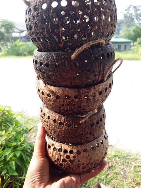 1 PC Coconut Shell Hanging Planter Pot Smooth Edge For Etsy