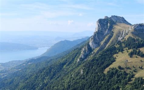 Mountains Trees Forest Slope Grass Landscape Lake Blue Sky 4K HD Nature