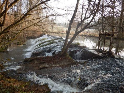 La Continuit Cologique Conseils Etudes Environnement