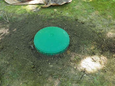 What is this green dome in my yard?