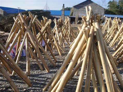 Chinese Moso Bamboo Pole Bamboo Supplies Manufacturers