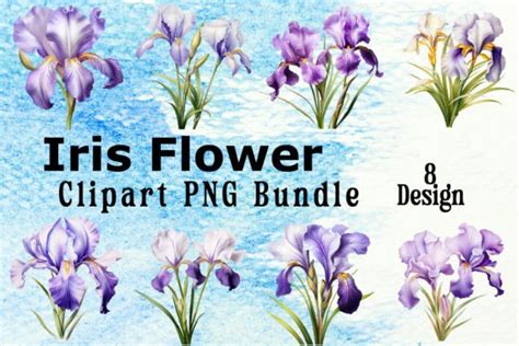 Iris Flower Clipart Bundle Graphic by Vintage · Creative Fabrica