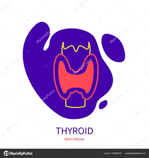 Thyroid Gland Endocrine System Body Organ Outline Icon Stock Vector By