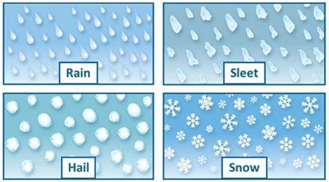 Types of Precipitation - Assessment