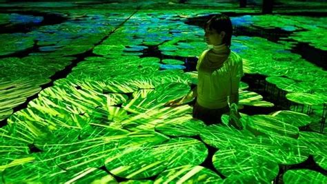 Armon A Y Diversidad Teamlab Para El Pabell N Japon S De La Expo