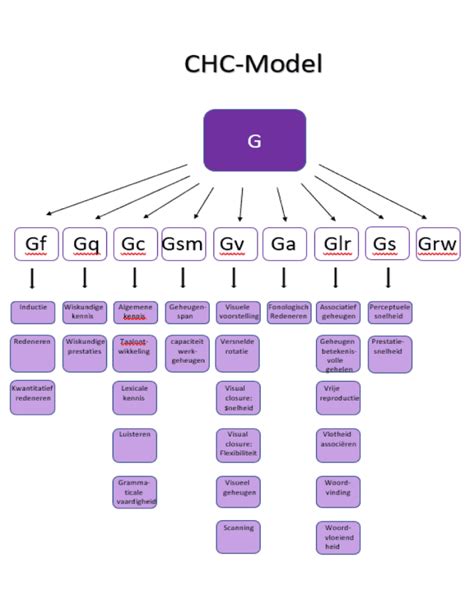 Chc Model Praktijk Hoogbegaafd