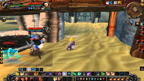 World Of Warcraft Feral Priest V Arena Youtube