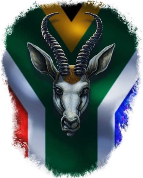 Pin By Marlene Smit On Springbok Rugby Springboks Rugby South Africa