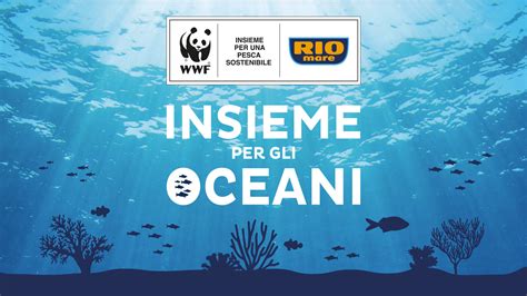 Rio Mare E Wwf Insieme Per Gli Oceani La Bussola Tv