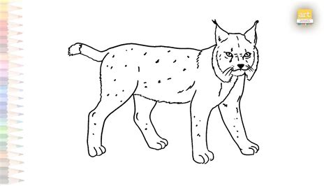 Eurasian Lynx Drawing Easy Animal Drawing Tutorial How To Draw A