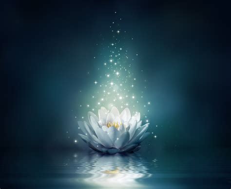 Lotus Flower Wallpaper (72+ images)