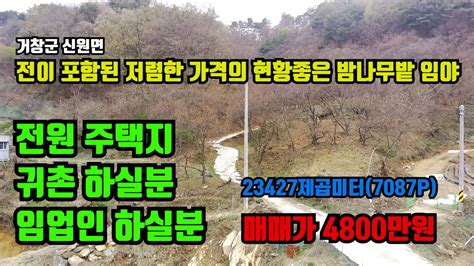 거창군 신원면 전이 포함된 저렴한 가격의 현황좋은 밤나무밭 임야 매매 임야 매매 전원주택지 매매 농지매매 토지매매