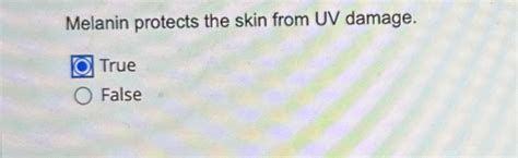 Solved Melanin Protects The Skin From Uv Damage Truefalse Chegg