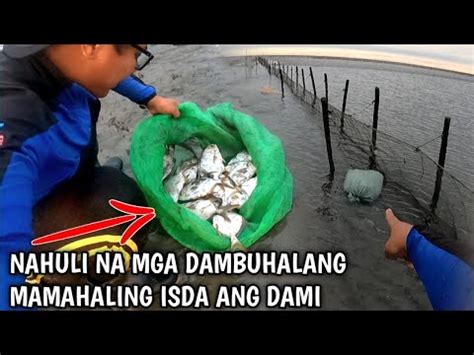 Nahuli Na Ang Naglalakihan At Napakaraming Mamahaling Isda Trophy