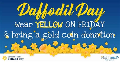 Daffodil Day Friday Th August Whiria Te T Ngata August