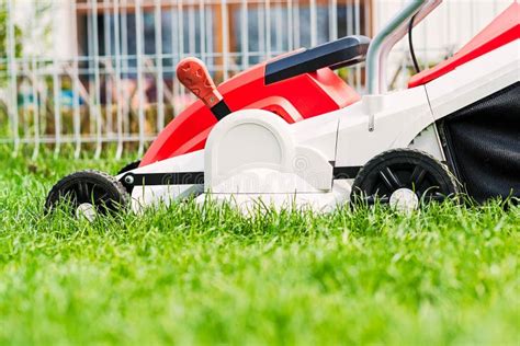 Cortador De Grama Que Corta A Grama Verde No Jardim Foto De Stock