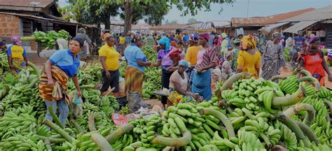 Zero Hunger Initiative Launched In Nigeria