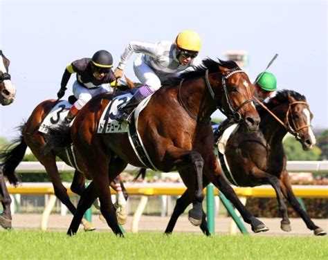 日本ダービー馬ドウデュースはジャパンcで国内復帰へ 武豊騎手が明かす 凱旋門賞から7日帰国 競馬ニュース