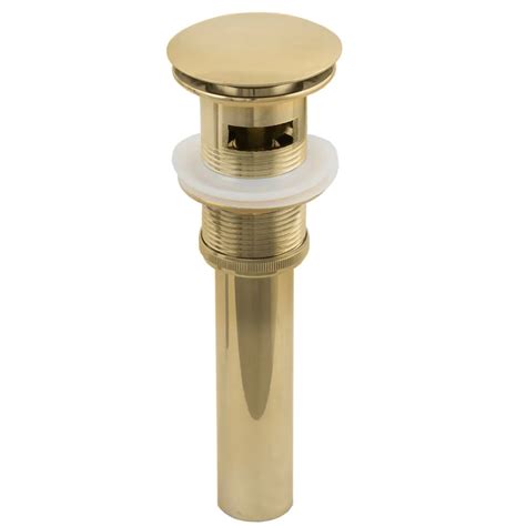 royal brass pop  drain  overflow brushed gold york taps