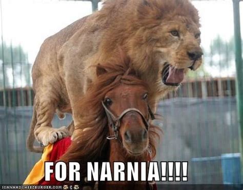 Narnia Memes Artofit