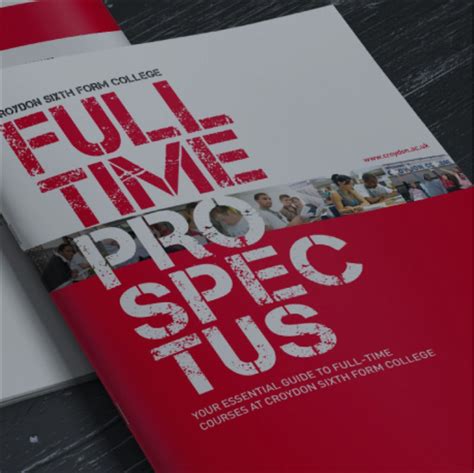 Prospectus Paper Example 1